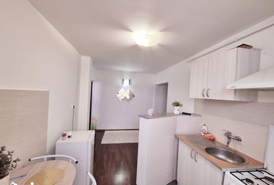 Apartament cu 2 camere decomandat în Precista - 12