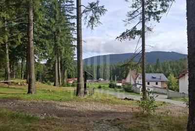 Casă cu 7 camere cu Teren 250 Mp în Paltin - 6