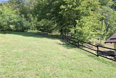 Casă cu 6 camere cu Teren 2267 Mp în Iedera de Sus - 18