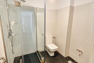 Inchiriere apartament duplex - spatiu reprezentativ ultracentral, Parc Primarie - 14