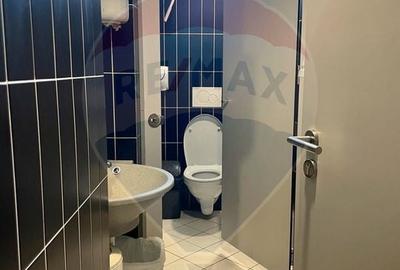 Birou, de 376 mp, în Armeneasca - 6