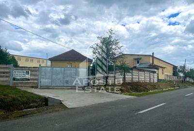 Spatii productie si depozitare, zona Sebis - Prunisor-Carand - 24