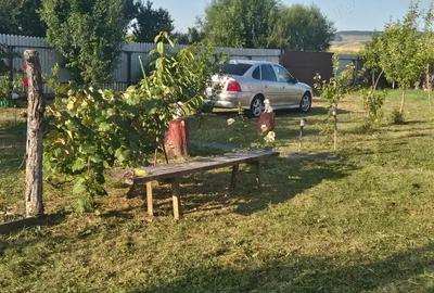 Casă cu 3 camere în Podu Turcului - 1