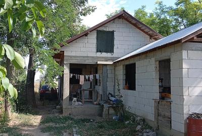 Casă cu 3 camere cu Teren 2000 Mp în Cosâmbești - 1