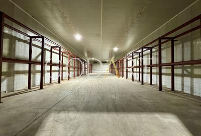 Spațiu industrial, de 4,000 mp, în Central - 9