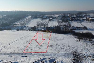 Teren de 1439 mp, în Viile Satu Mare - 4