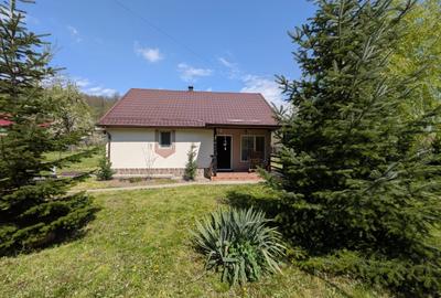 Casă individuală cu 3 camere cu Teren 6500 Mp în Moșna - 6