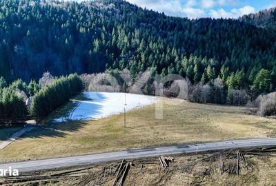 Teren de 19200 mp, în Brădet - 8