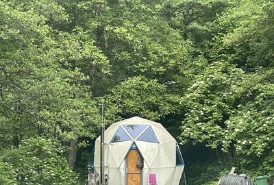 Casă cu 3 camere în Băile Herculane - 9