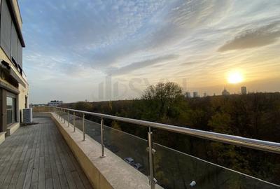 REA1008147 Penthouse 5 camere superb-vedere directa Herastrau - 9