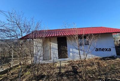 Casă cu 5 camere cu Teren 529 Mp în Niculițel - 11