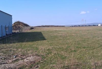 Spațiu comercial, în Tufeni - 5