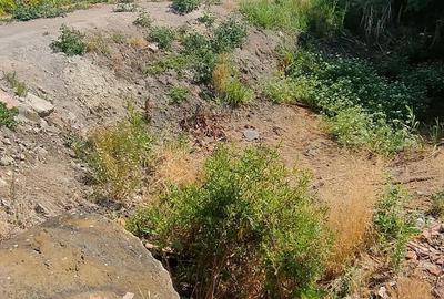 Teren de 2800 mp, în Lovrin - 17