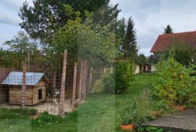 Casă cu 6 camere cu Teren 3000 Mp în Central