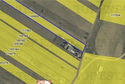 Teren de 4030 mp, în Lumina