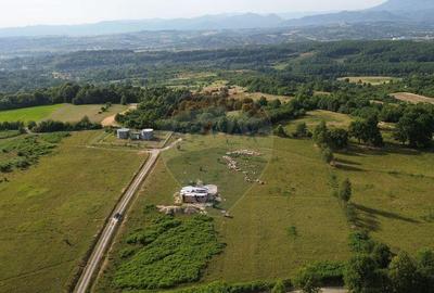 Teren 9,900mp Berinta cu deschidere la 2 drumuri. - 2