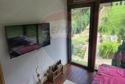 Casă cu 3 camere cu Teren 1268 Mp în Săpânța - 15