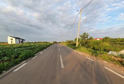 Lot teren Balotesti,langa case noi-50 m de asfalt 600mp - 10