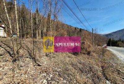 Teren Intravilan de Vanzare Sinaia - 5