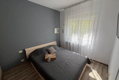 Apartament cu 2 camere decomandat, mobilat în Torontalului - 8