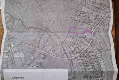 Teren de 2351 mp, în Mărăcineni - 3