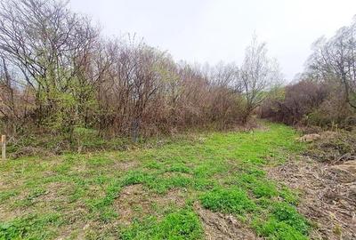 1.700mp intravilan,acces usor,intre case,ideal 2 locuinte/investitie,Lunca Calni - 14