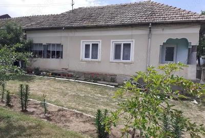 Casă cu 6 camere în Ostroveni - 1
