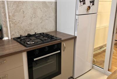 Apartament cu 2 camere semidecomandat, mobilat în Parcul Carol - 11