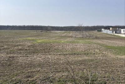 Spațiu comercial, în Grădiștea