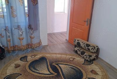 Casă cu Teren 2115 Mp în Urseiu - 7