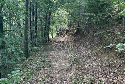 Teren agricol extravilan de 20000 mp, în Vișagu - 2