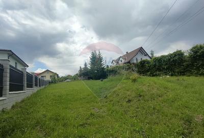 Teren intravilan de vanzare - 2
