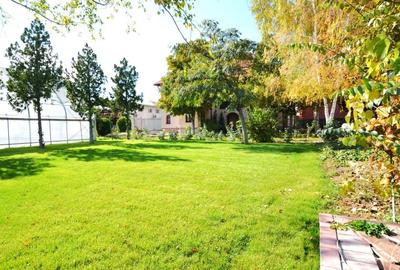 DOMENIU REZIDENȚIAL PRIVAT - Otopeni, Drumul Odaii - 4