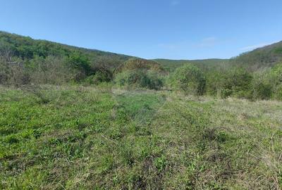 Teren de vis in Stejeris - utilitati, natura, acces rapid! - 3