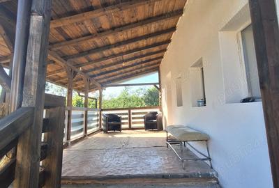 Casă cu Teren 2115 Mp în Urseiu - 2