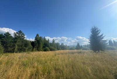 12700 mp investitie rezidentiala- turistica- medicala Tinovul Mic/Șaru Dornei - 6