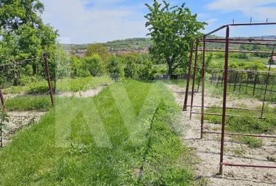 Casa cu poveste si potential - locul perfect pentru un nou inceput in Seica Mare - 18