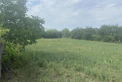 Casă individuală cu 3 camere cu Teren 2087 Mp în Suraia - 3