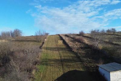 Teren Intravilan 2460 mp Suceava De 0727817187 - 6