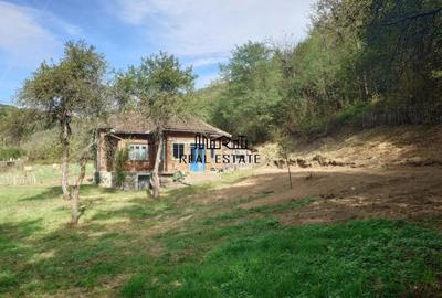 Teren, padure si casa in Dumbrava de Jos, jud. Hunedoara - 17