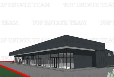 Galerie comerciala Bucuresti-Ilfov 100% inchiriata - 3