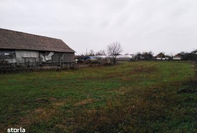 Casă cu 4 camere cu Teren 2804 Mp în Central - 5