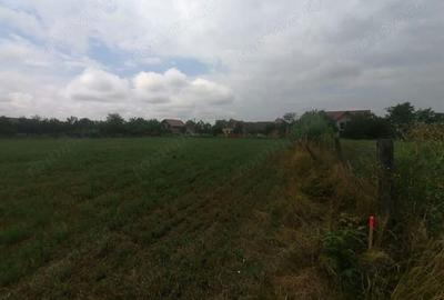 Bucovat - Teren intravilan -loc de casa - 1095 mp -Front 17m - 3