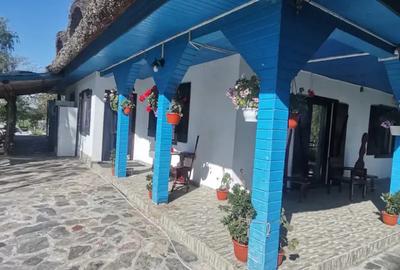 Teren în Partizani - 2