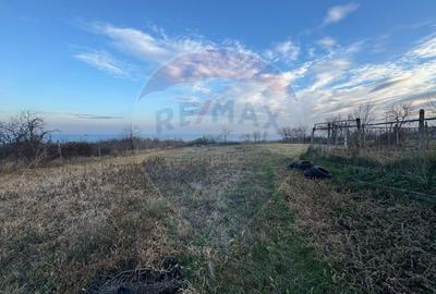 Teren 2636 mp in Padureni /Jari?tea - 3