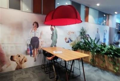 Inchiriere birouri de clasa A in myHive S-Park - 11