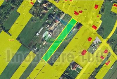 Cicarlau, teren intravilan, zona de case, suprafata 2936 mp - 3