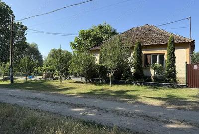 Spațiu comercial, de 500 mp, în Șimian - 13