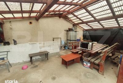 Casă cu 3 camere cu Teren 24000 Mp în Micula - 1