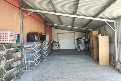 Spațiu comercial, de 972 mp, în Mișca - 6